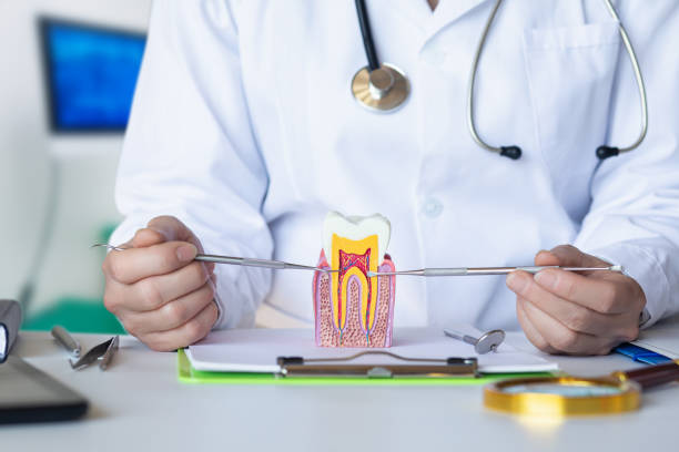 Best Weekend Emergency Dentist in Garberville, CA